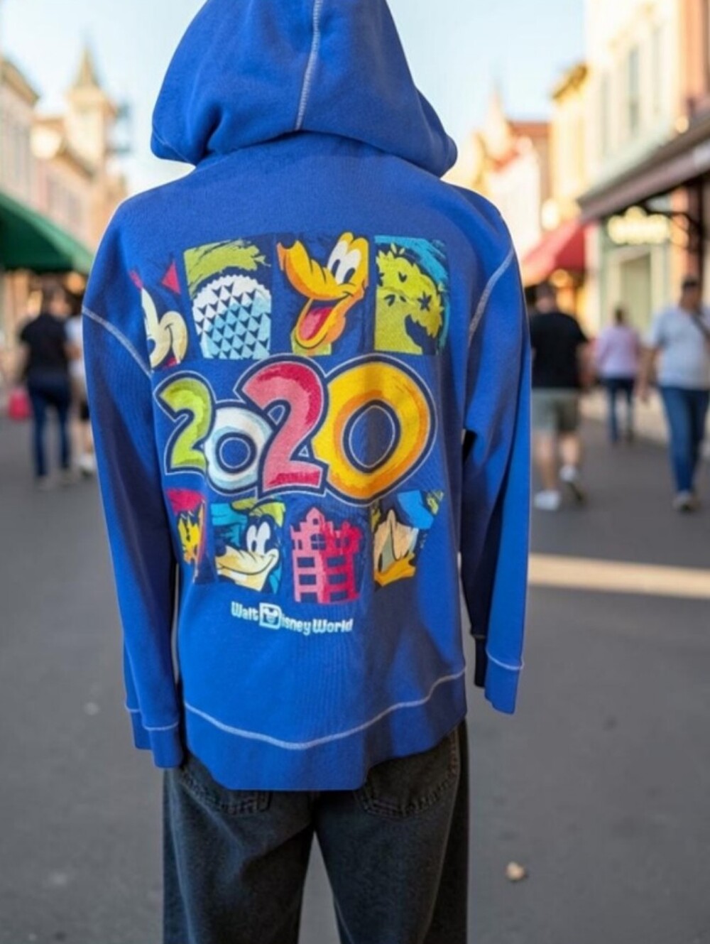 Walt Disney World Parks 2020 Zip Hoodie Sweatshirt Travel Vacation Sz M - Picture 10 of 10